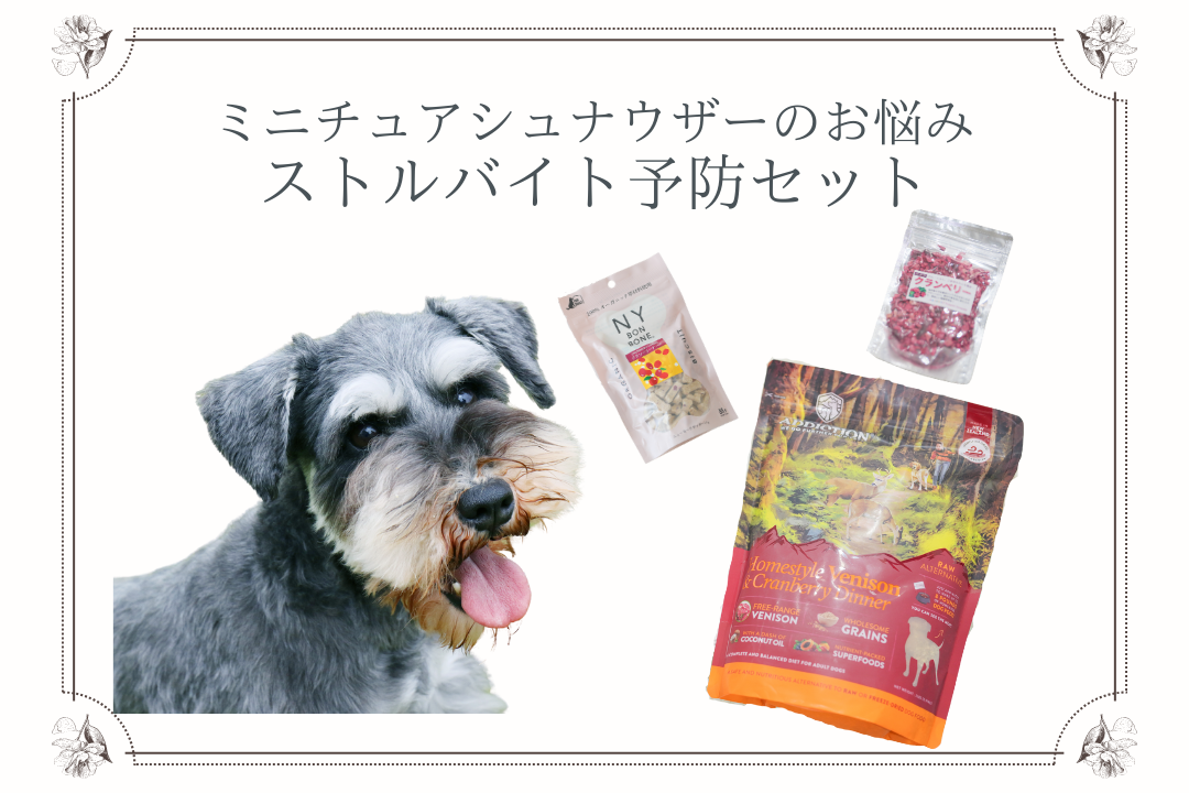 ミニチュアシュナウザー ストルバイトケアセット