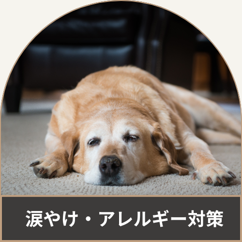 涙やけ・アレルギー対策