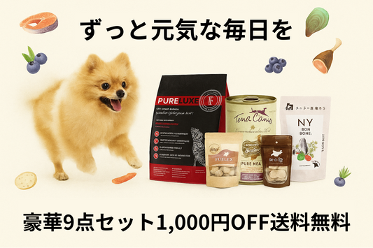 【これで大丈夫！】小型犬のための ずっと元気に走れるトータルケアセット